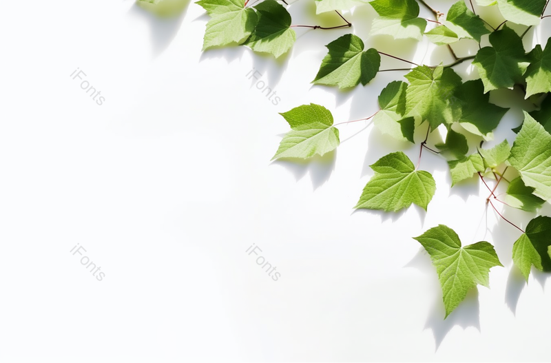 文艺|清新